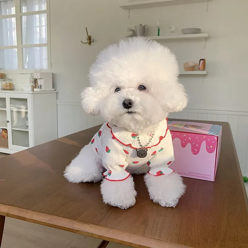 Strawberry Blouse For Dogs & Cats