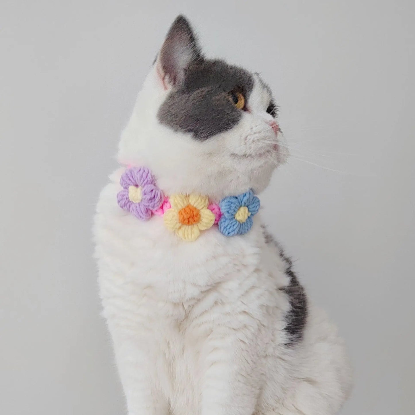 Floral Adjustable Knitted Collar For Dogs & Cats