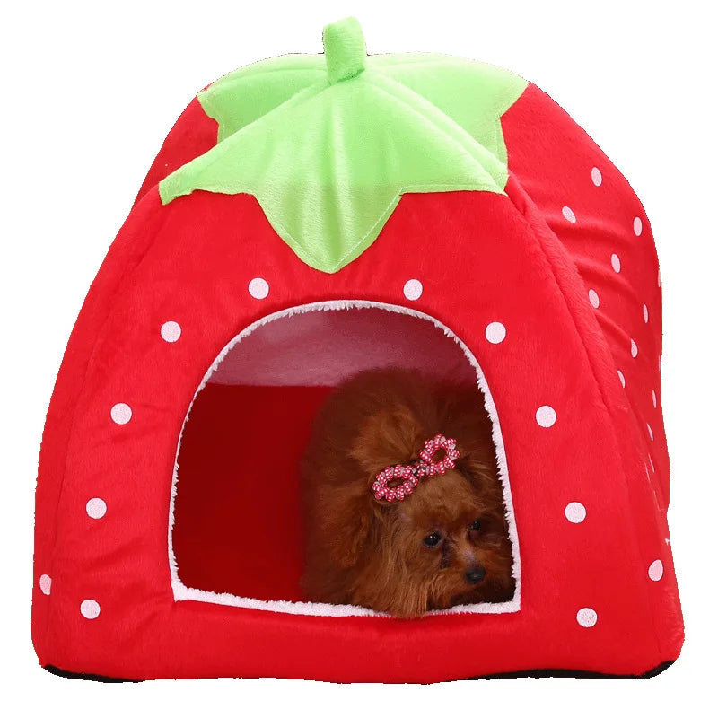 Strawberry Dog & Cat Home