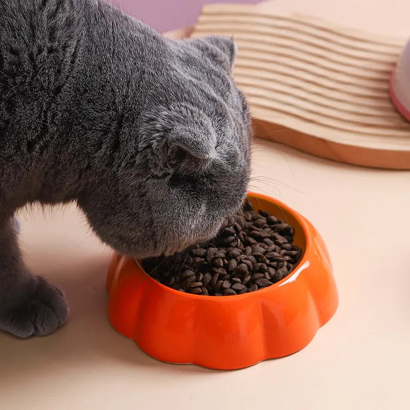 Fruit-Shaped Cat Food Bowl