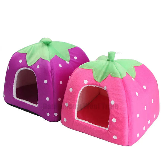 Strawberry Dog & Cat Home